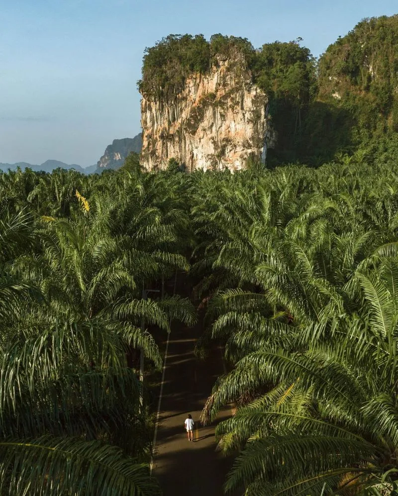 Krabi Thailand, ngỡ ngàng vẻ đẹp của vùng đất bị bỏ quên