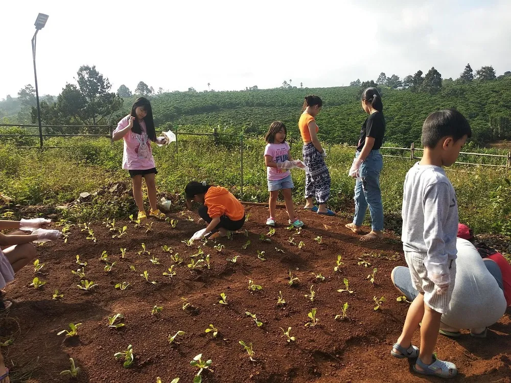 Lạc vào Vintage Garden’s Farmstay cực đẹp tại Bảo Lộc