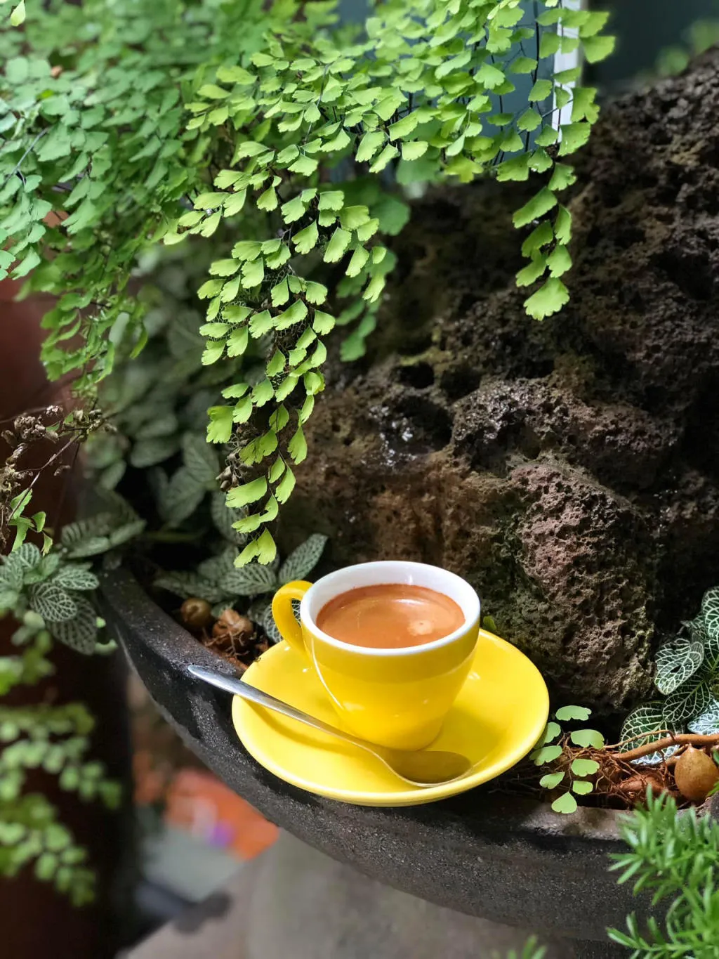 Lâm Viên Coffee Garden, quán cà phê không gian xanh tại phố núi