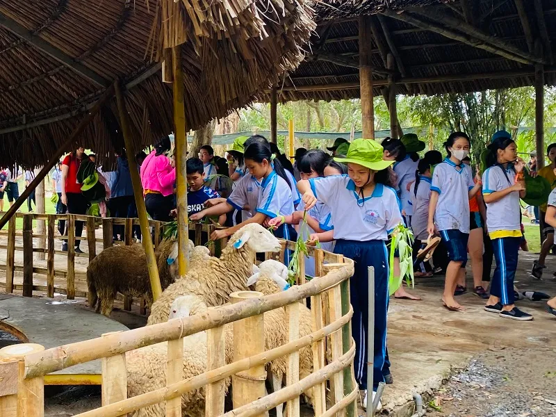 Làng du lịch Tre Việt Đồng Nai, chốn tụ hội lý tưởng vào cuối tuần