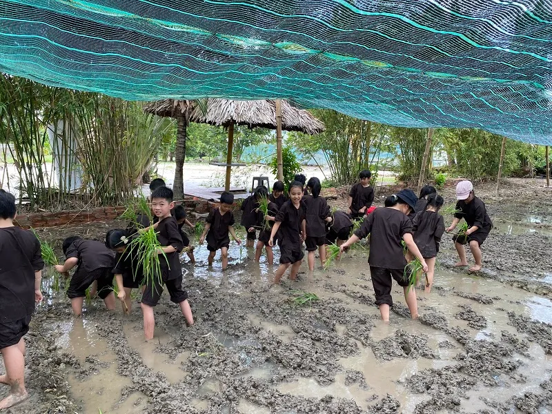 Làng du lịch Tre Việt Đồng Nai, chốn tụ hội lý tưởng vào cuối tuần