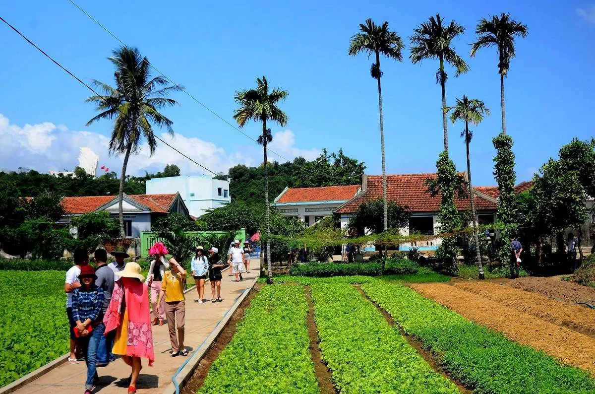 Làng rau Ngọc Lãng – Trải nghiệm đầy thú vị tại vườn rau sạch rộng lớn nhất Phú Yên