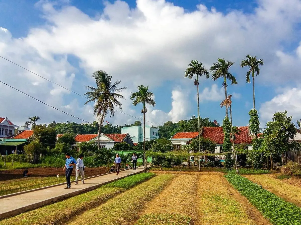 Làng rau Ngọc Lãng – Trải nghiệm đầy thú vị tại vườn rau sạch rộng lớn nhất Phú Yên