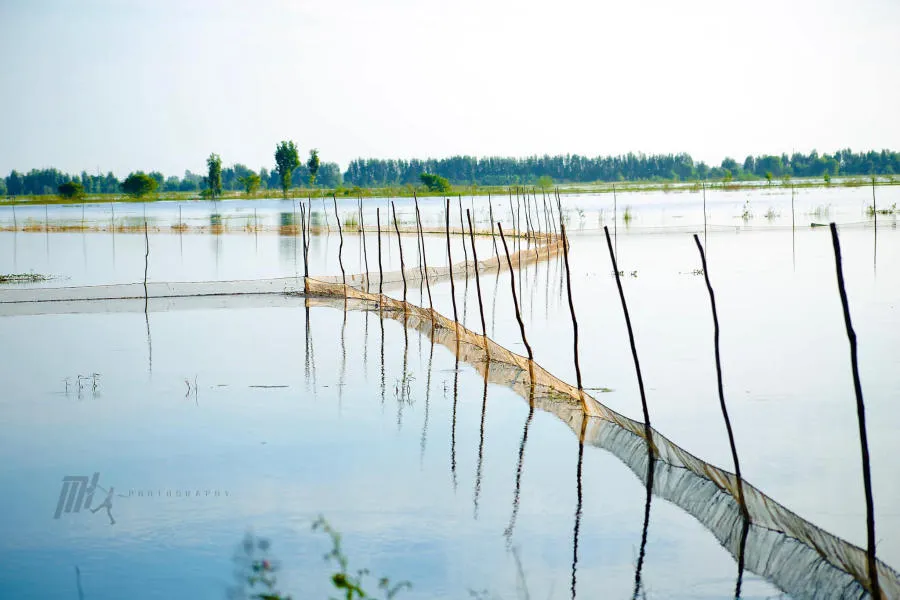 Lang thang An Giang khám phá miền quê thanh bình vào mùa nước nổi