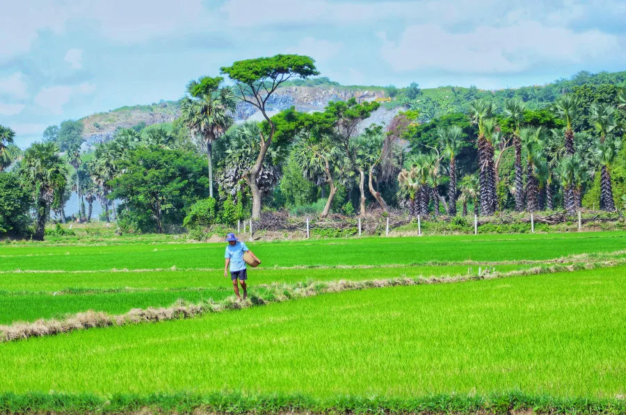 Lang thang Bảy Núi An Giang tìm về một miền quê thanh bình