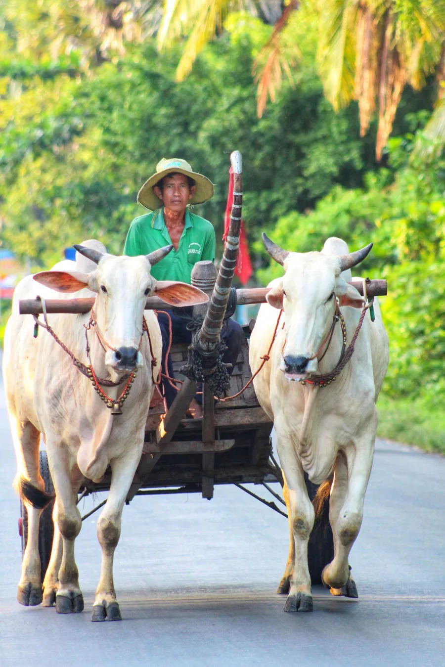 Lang thang Bảy Núi An Giang tìm về một miền quê thanh bình