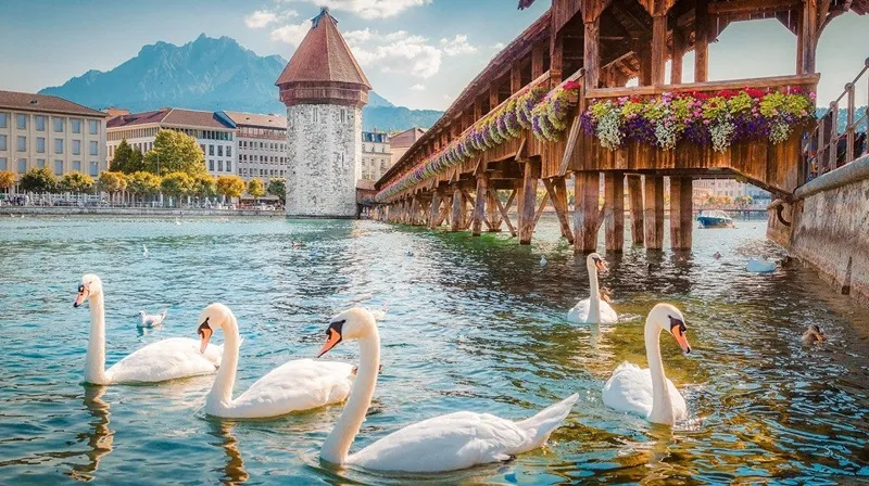 Lucerne mộng mơ bên dãy núi Alps tại Thụy Sĩ