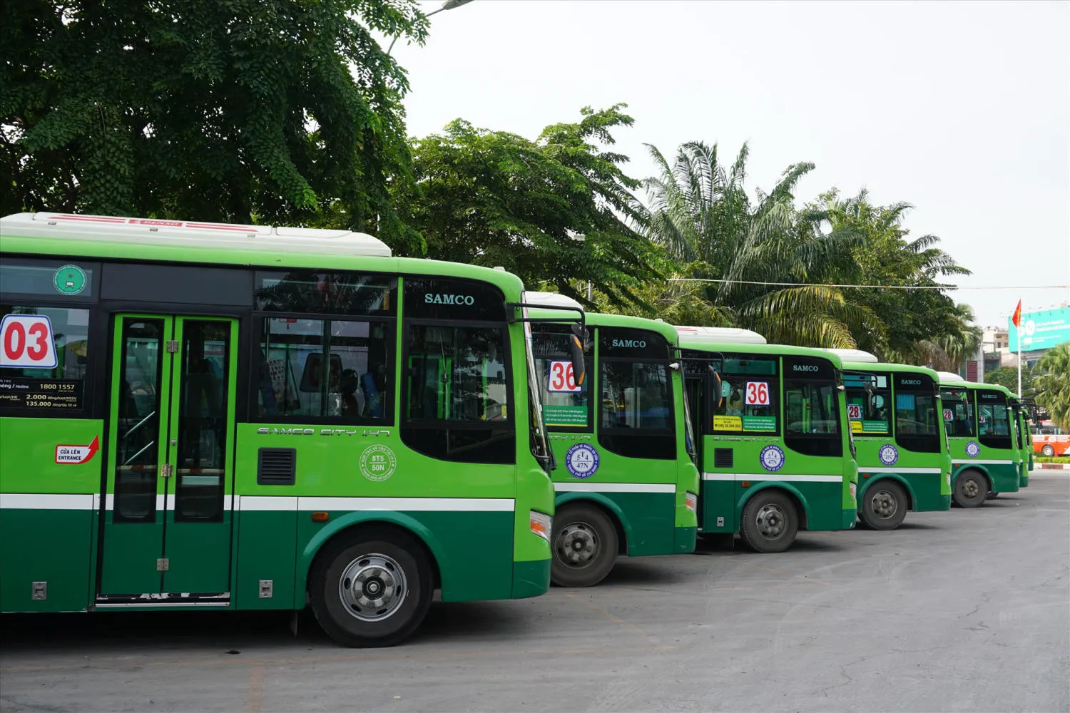 Lưu 20 tuyến xe bus ở An Giang vừa hiện đại vừa tiết kiệm chi phí