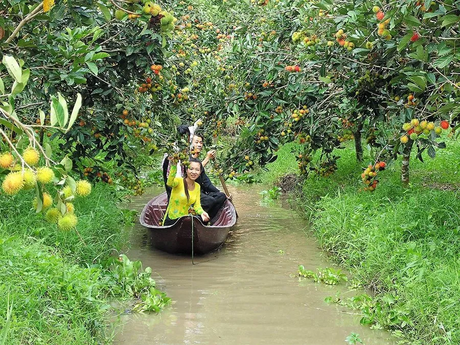 Lưu ngay Kinh nghiệm du lịch bụi Cần Thơ để chuyến đi thêm phần thú vị