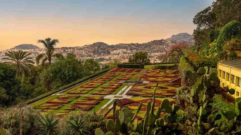 Madeira, xứ sở thanh bình bên bờ Đại Tây Dương