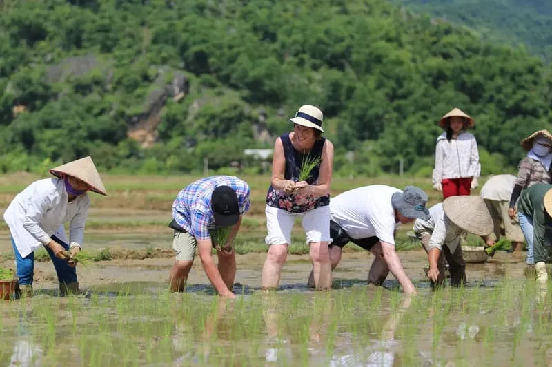 Mai Châu Ecolodge, điểm nghỉ dưỡng giữa núi rừng Tây Bắc