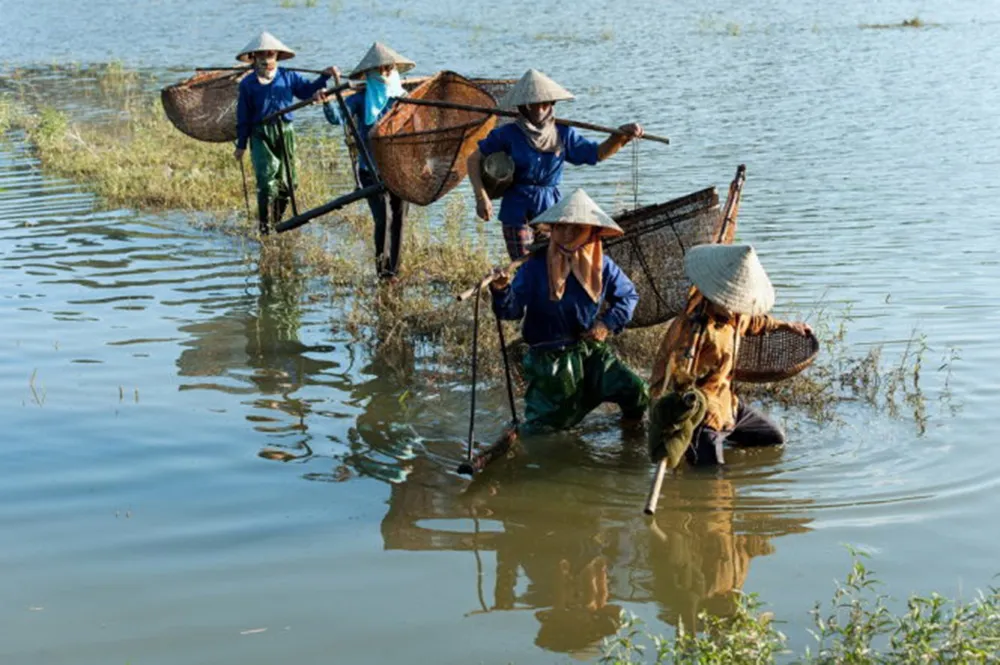 Mắm tép Gia Viễn – Đặc sản ẩm thực Ninh Bình