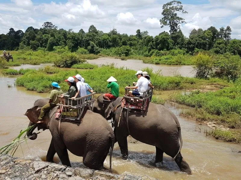 Mộ vua voi Bản Đôn, bí ẩn về người anh hùng của Tây Nguyên