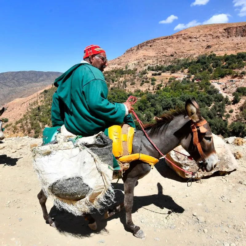 Morocco điểm giao hòa rực rỡ sắc màu giữa châu Phi và châu Âu