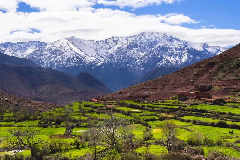 Morocco điểm giao hòa rực rỡ sắc màu giữa châu Phi và châu Âu