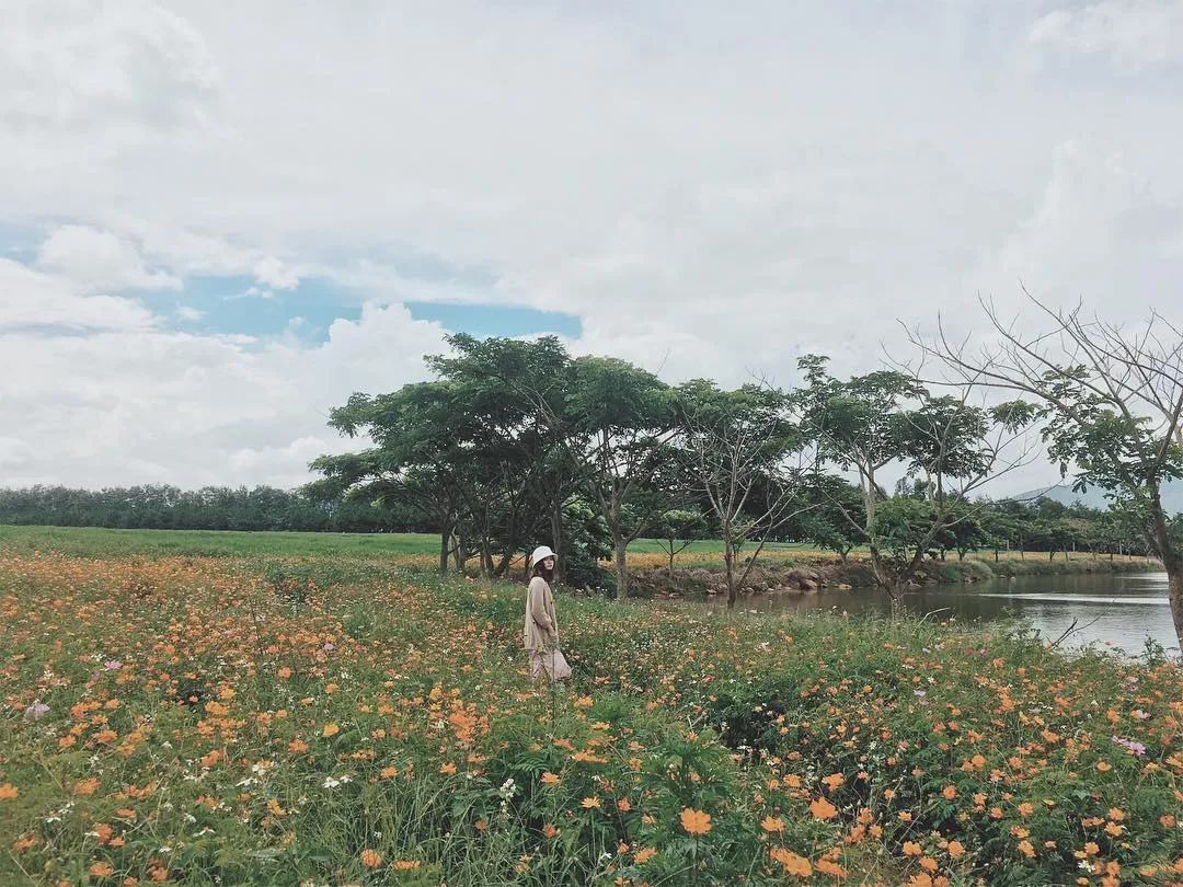 Một ‘chiếc’ Review Đà Lạt Milk Farm tất tần tật dành cho những ai lần đầu đến đây