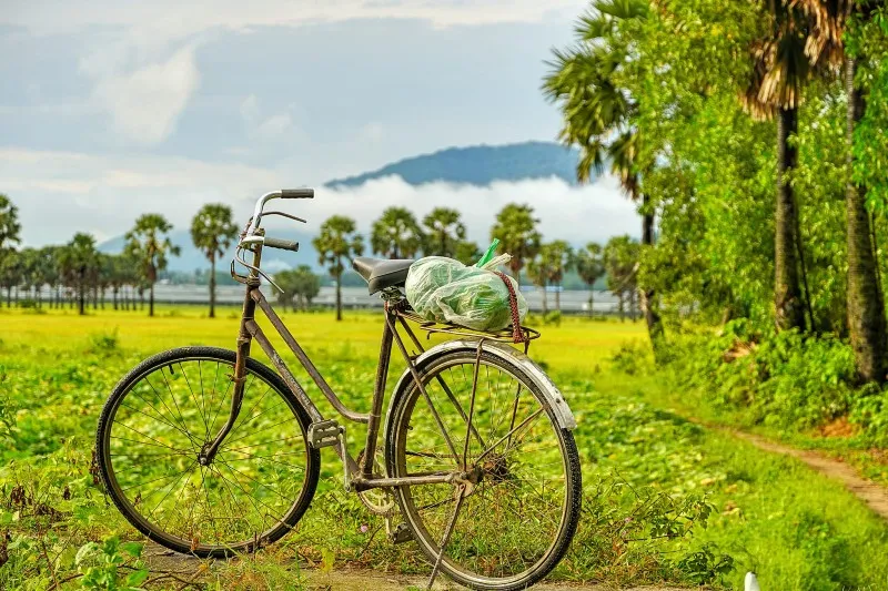 Mùa vàng An Giang đẹp ngỡ ngàng qua lăng kính của Dương Việt Anh