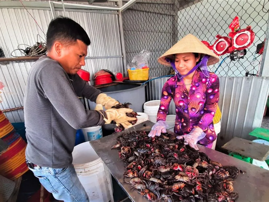 Nghề làm mắm ở Cà Mau và món ngon đặc sản vạn người mê