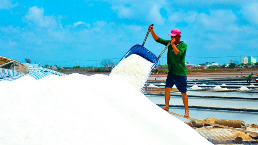 Nghề muối Tân Thuận mang tinh hoa biển khơi đến với đời sống thường nhật