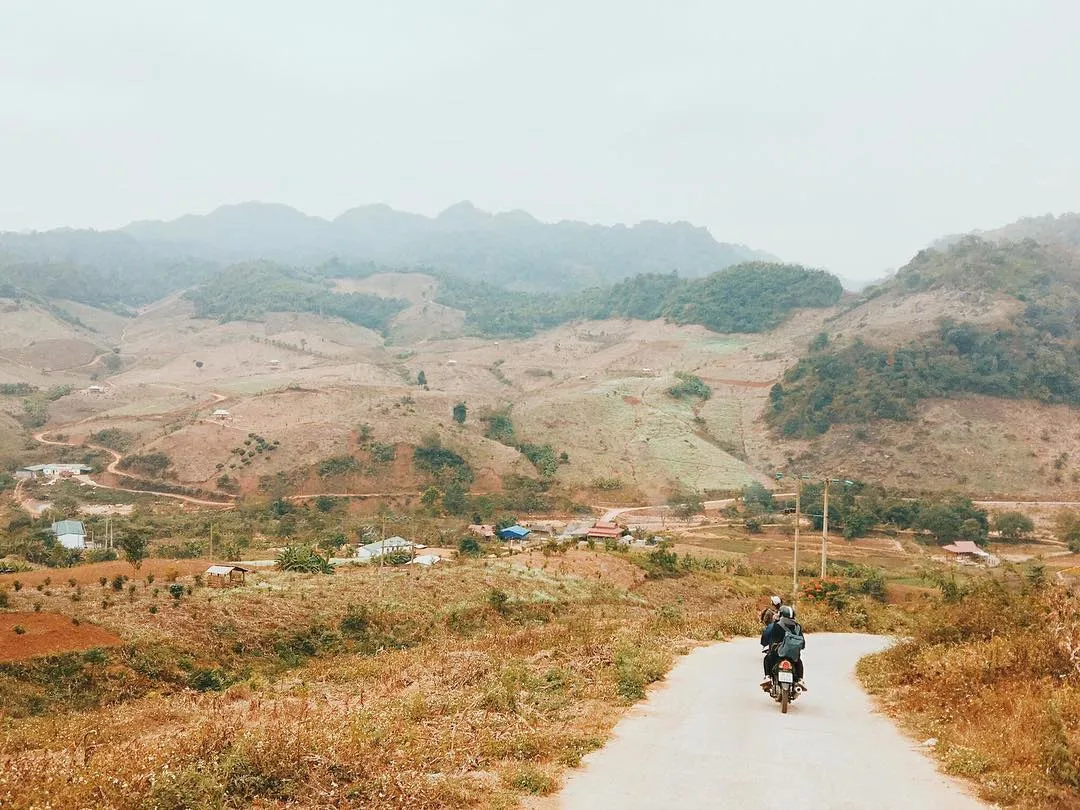 Ngỡ như mùa xuân về tại Homestay at Dream House