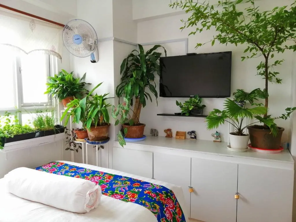 Ngỡ như mùa xuân về tại Homestay at Dream House