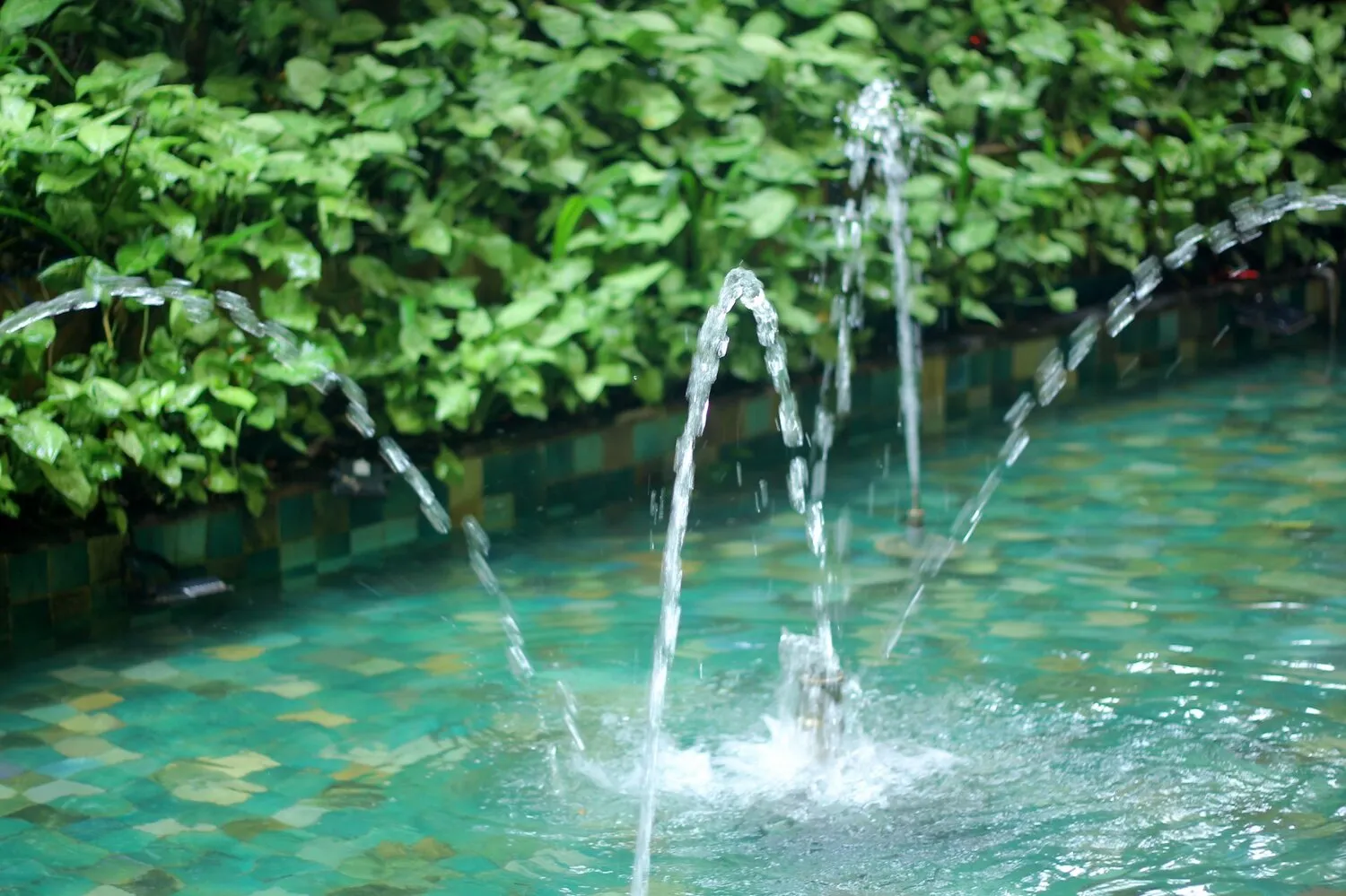 Ngon Avatar Coffee Garden Teahouse, ngôi nhà cà phê xinh đẹp tại Pleiku