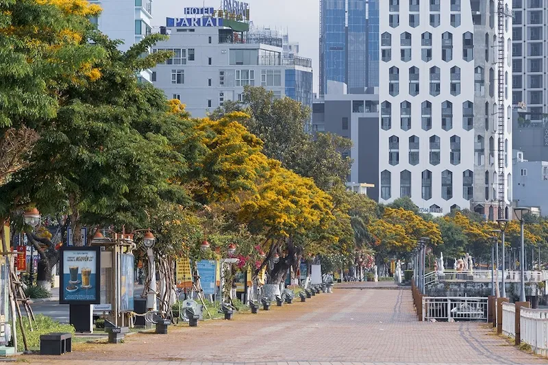 Nhanh tay lưu lại Cẩm nang du lịch Đà Nẵng từ A đến Z thôi bạn ơi!