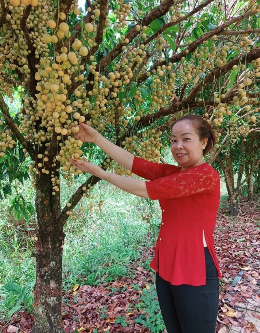 Những trải nghiệm ở U Minh mà bạn nhất định phải thử