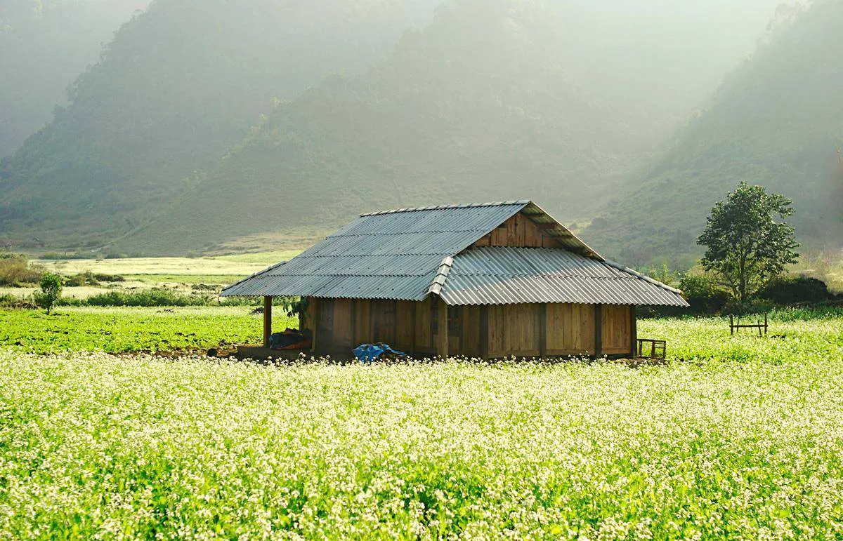 Ở đây có Kinh nghiệm đi Mộc Châu tự túc bằng ô tô nè bạn ơi!