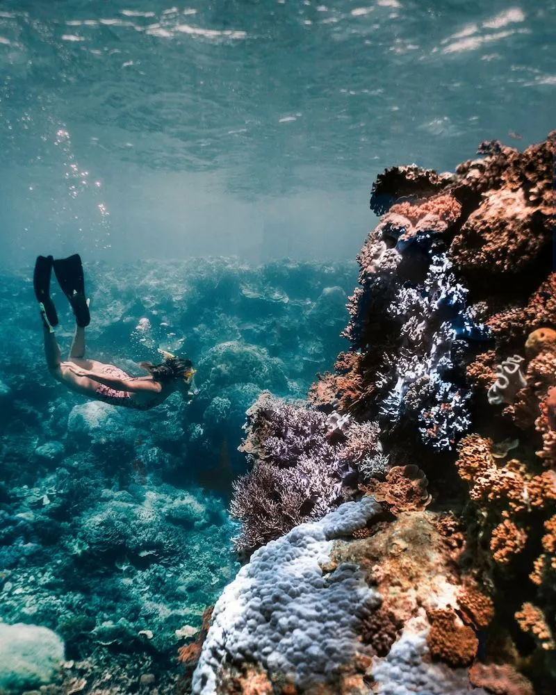 Rạn san hô Great Barrier, tạo tác ngoài khơi xa Queensland