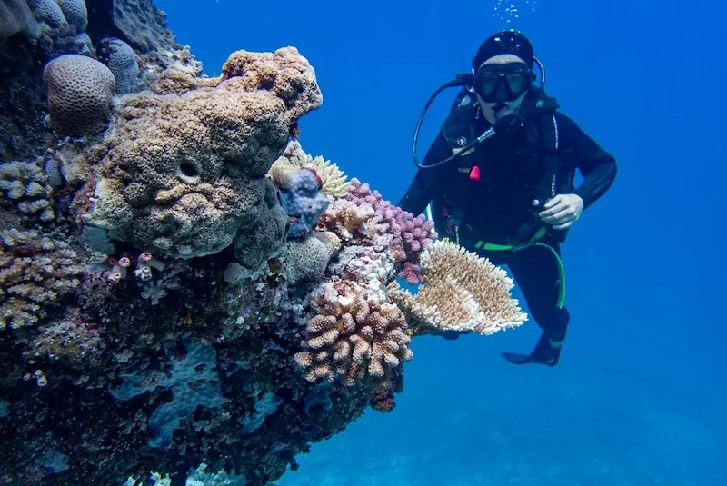 Rạn san hô Great Barrier, tạo tác ngoài khơi xa Queensland