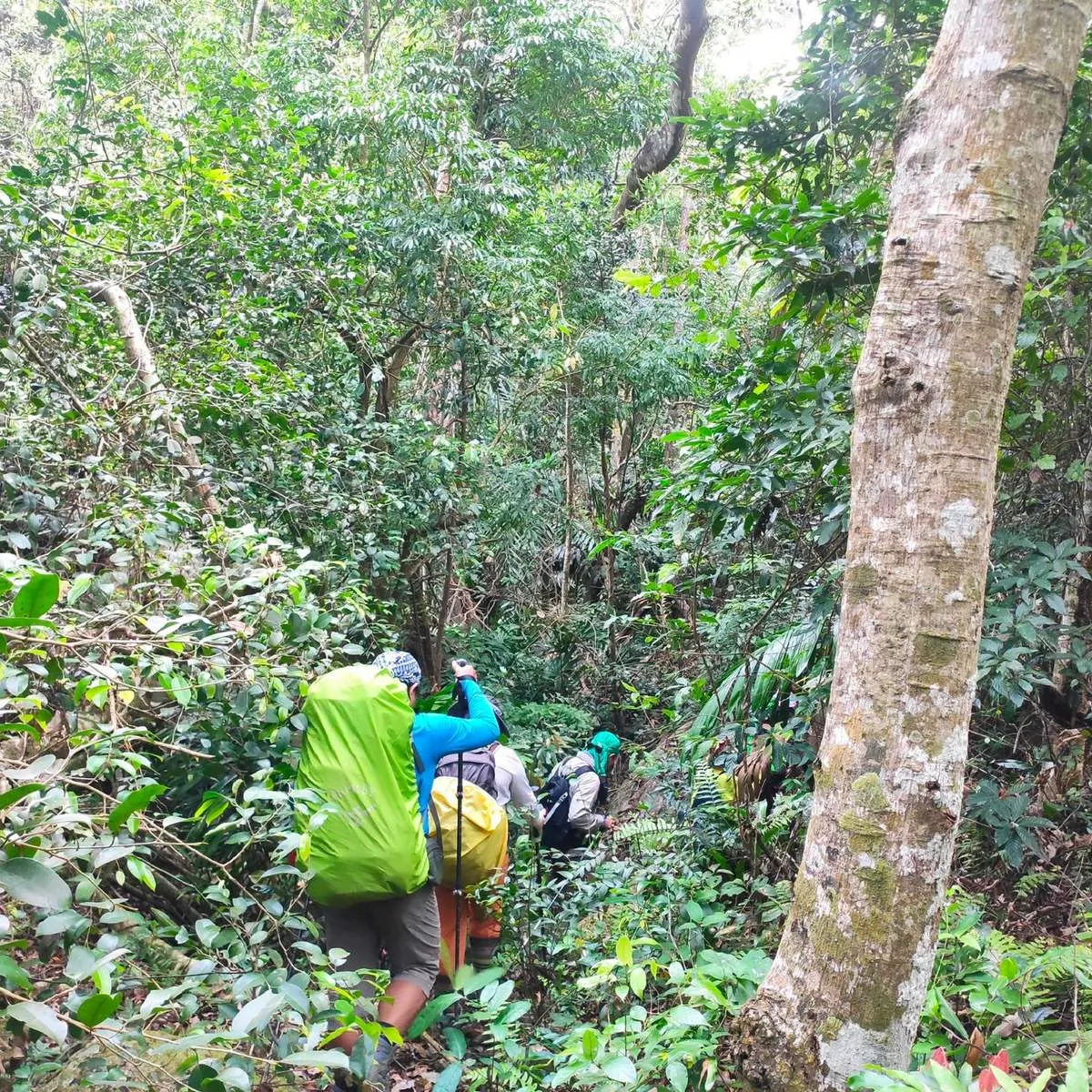 Review chuyến trekking Núi Chúa Ninh Thuận đã trải nghiệm một lần là chỉ có mê