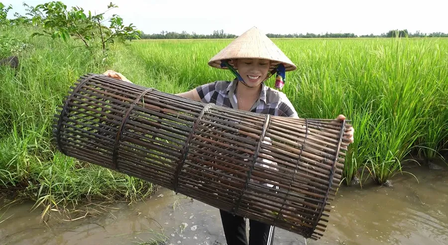 Rộn ràng Nghề đặt lờ ở Cà Mau mỗi mùa nước nổi kéo về