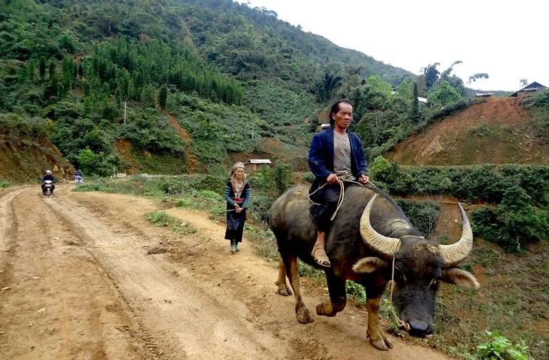 Tà Sì Láng hoang vu nơi yêu thích của các phượt thủ Yên Bái