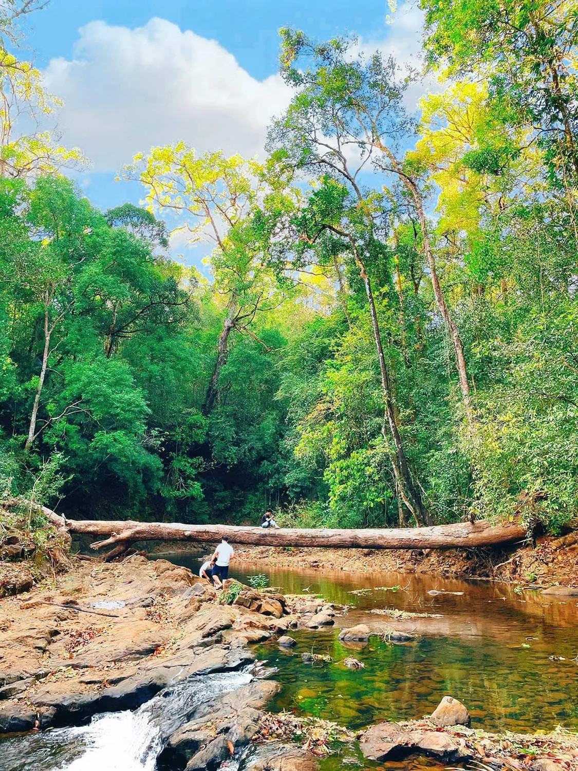 Tất tần tật kinh nghiệm trekking Bù Gia Mập cho người mới