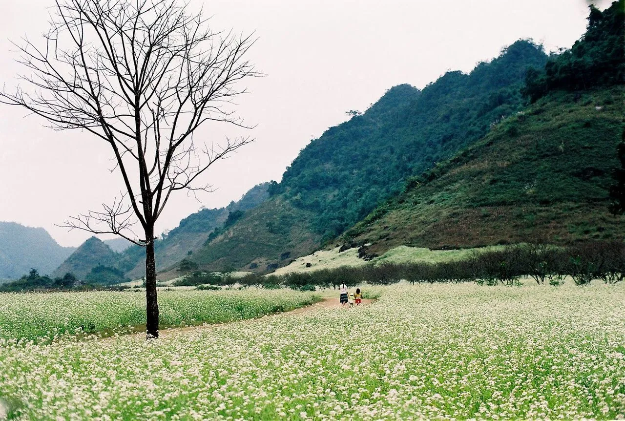 Tất tần tật kinh nghiệm trekking Pha Luông mới nhất từ MIA.vn