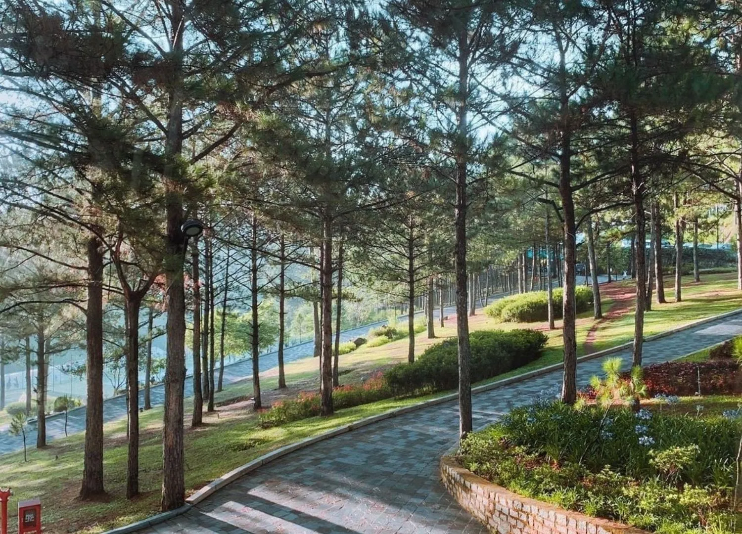 Terracotta Hotel Resort Dalat, nét bình yên bên đồi thông