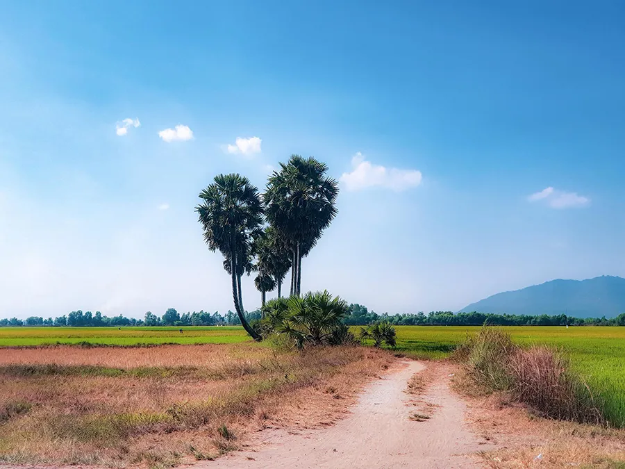 Tham khảo Lịch trình khám phá Tri Tôn An Giang siêu hấp dẫn