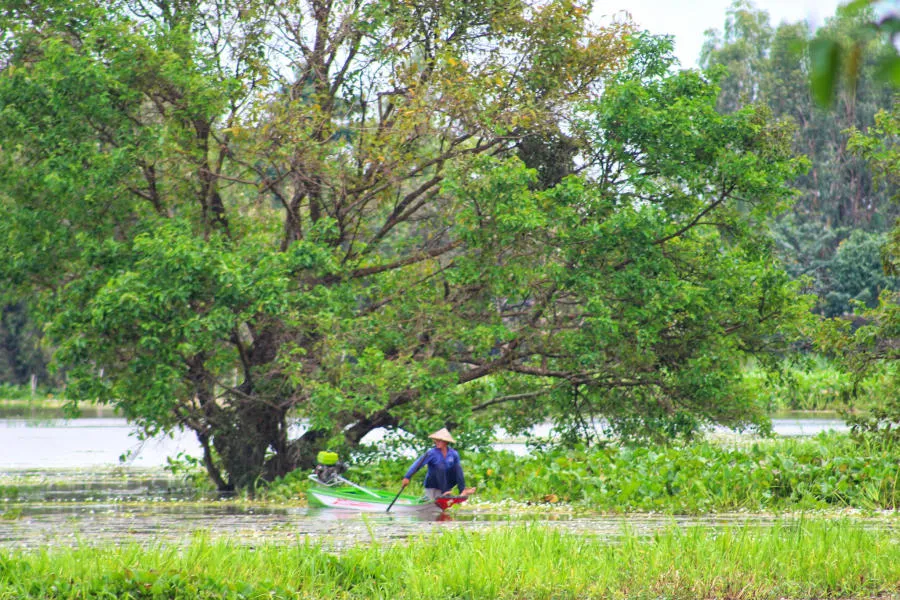 Tháng 10 ghé An Giang mùa nước nổi kiếm tìm sự bình yên