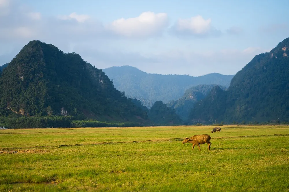 Thưởng ngoạn hoàng hôn mùa đông Tân Hoá Quảng Bình tuyệt đẹp