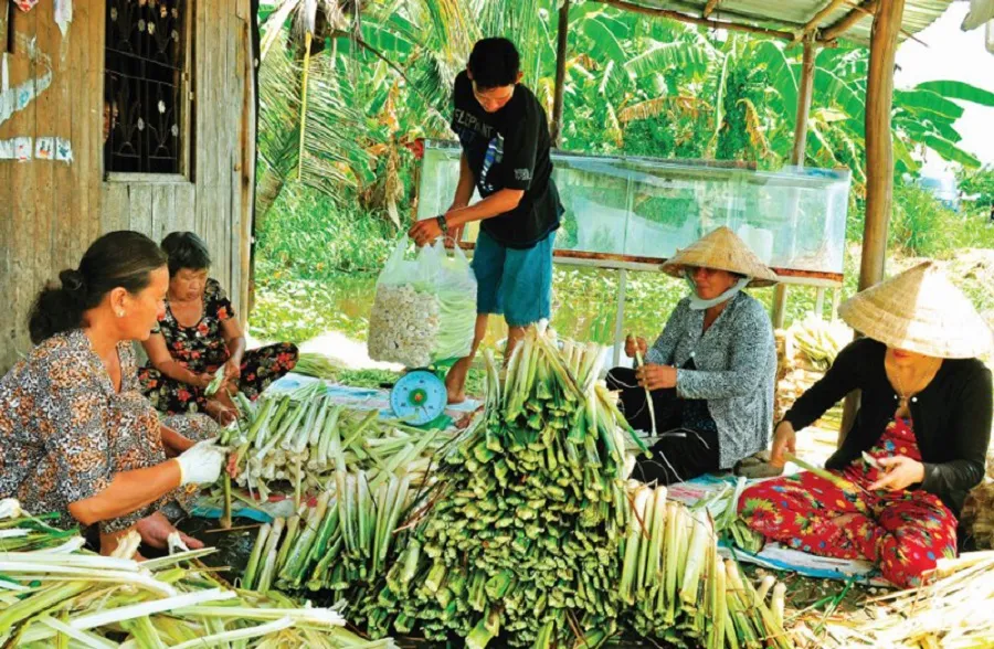 Thưởng thức Bồn bồn Cà Mau, đặc sản dân dã của vùng đất mũi