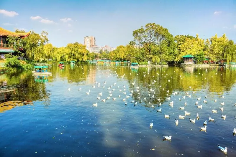 Tìm về Côn Minh, chiêm ngưỡng thành phố mùa xuân ngập tràn nắng ấm