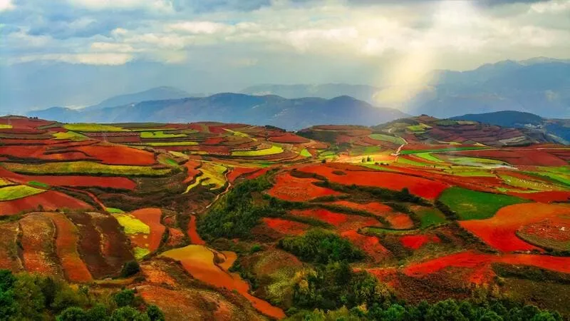 Tìm về Côn Minh, chiêm ngưỡng thành phố mùa xuân ngập tràn nắng ấm