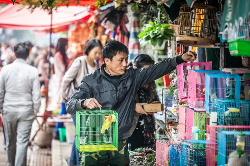 Tìm về Côn Minh, chiêm ngưỡng thành phố mùa xuân ngập tràn nắng ấm