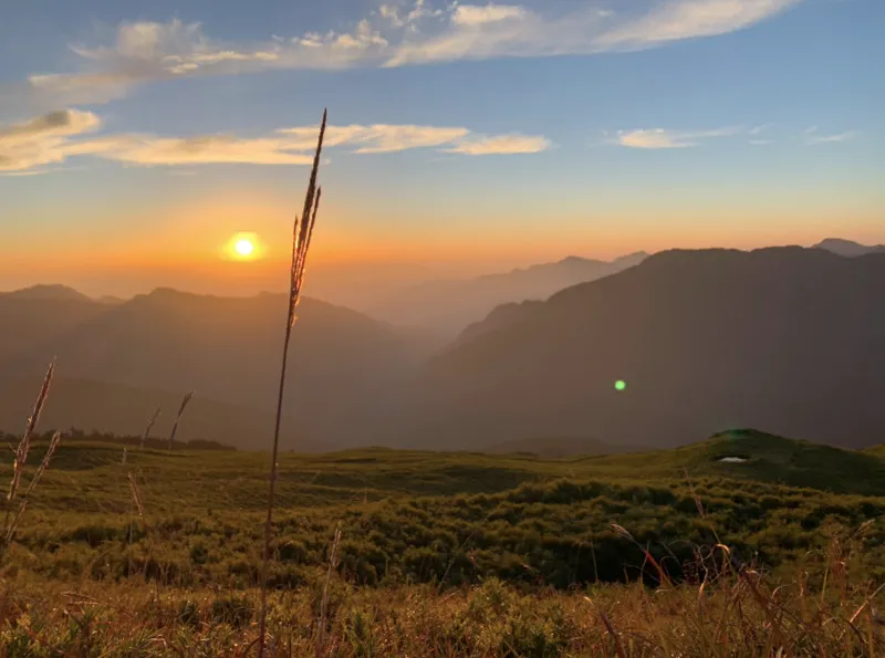 Tìm về Qingjing Farm, điểm đến bình yên nơi núi Nam Đầu