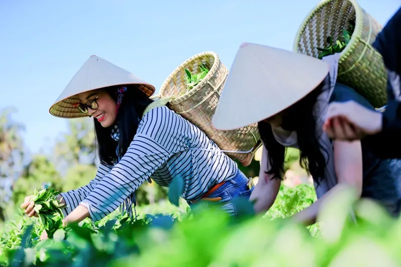 Tổng hợp các loại hình du lịch tiềm năng hàng đầu hiện nay