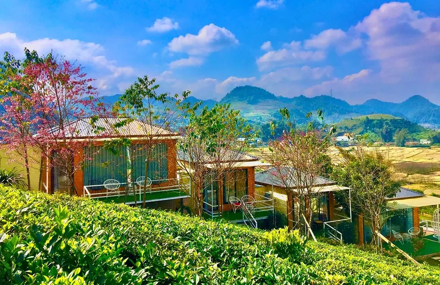 Top 4 resort Mộc Châu view đẹp say đắm lòng người