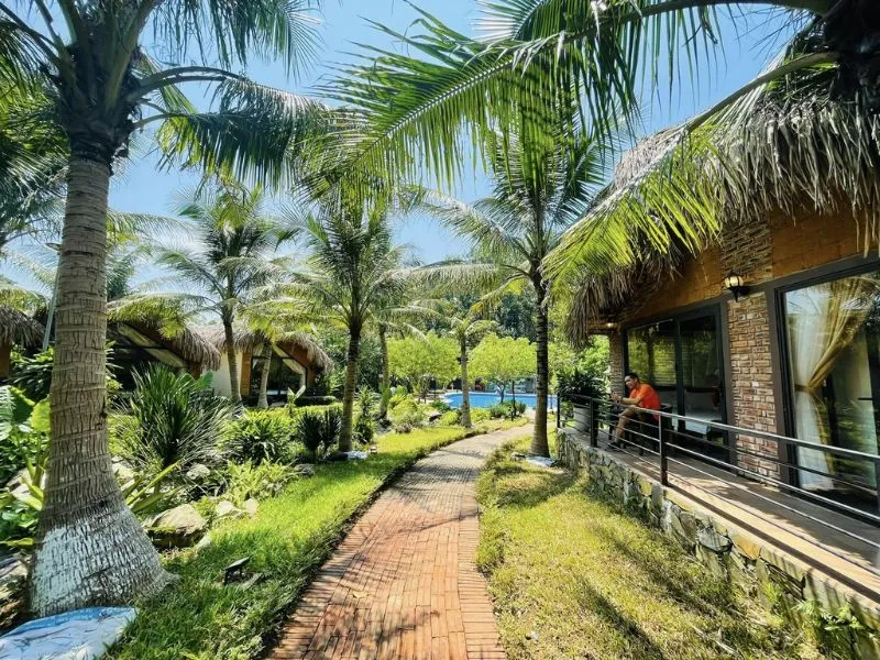 Top 7+ Resort Ba Vì: Nơi kết nối với thiên nhiên đẹp đến ngỡ ngàng