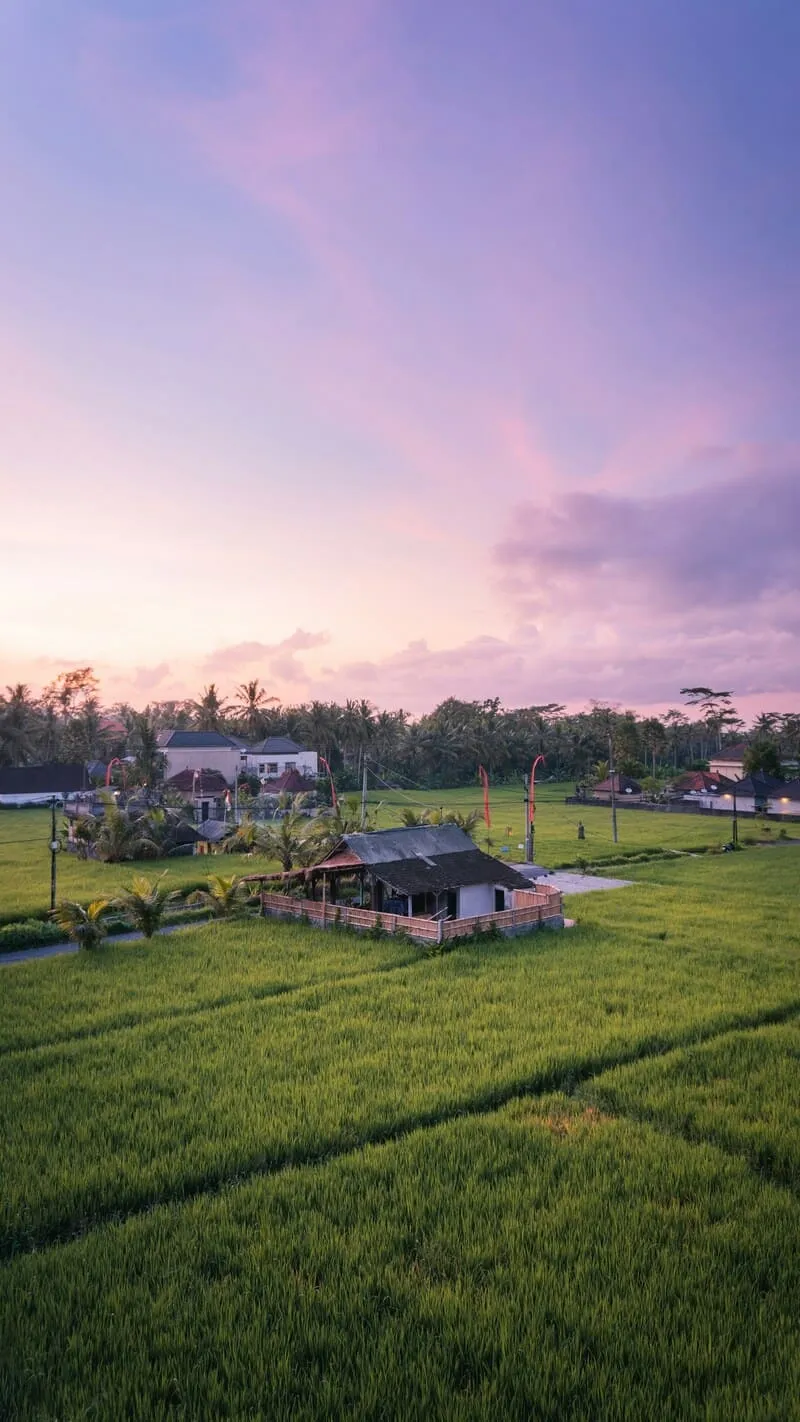 Trải nghiệm du lịch Ubud, nơi rực rỡ sắc màu văn hóa bản địa Bali