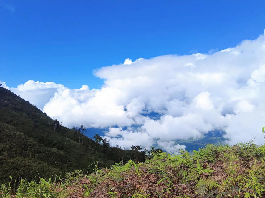 Trekking Lảo Thẩn săn biển mây và rừng hoa chi pâu đẹp tuyệt sắc